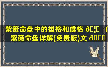 紫薇命盘中的雄格和雌格 🦋 （紫薇命盘详解(免费版)文 🍁 墨天机）